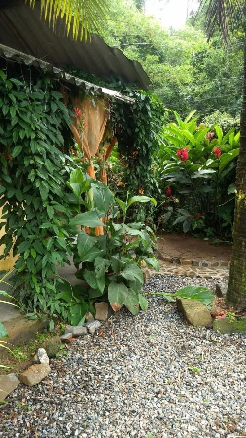 Suites Cocaia Ilhabela Exterior photo